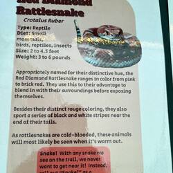 Something to look forward to ?? 😂