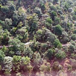 A long (hot!) walkway exists for those who want to bake.