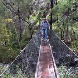 Wobbly suspension bridge