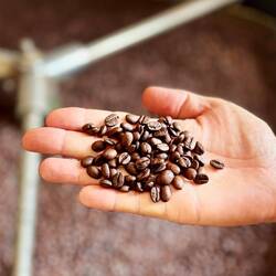 Frisch gerösteter Kaffee, was braucht es mehr...?