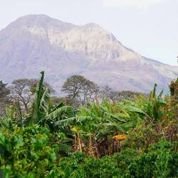 mit dem Mount Mbeya im Blick