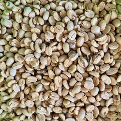 Getrockneter grüner Kaffee