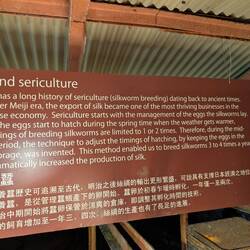 Erklärung zu den Seidenraupen