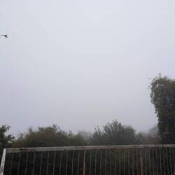 Blick auf Mr. Fuji 😁