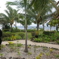 So blicken wir aufs Meer