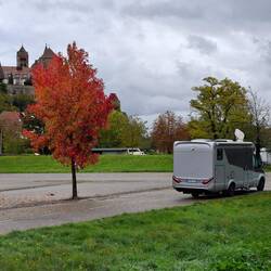 Am nächsten Morgen waren wir nur noch zwei Mobile.