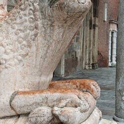 Der Löwe hält den Hund, der die Ente hält - alle haben sich lieb 🥰