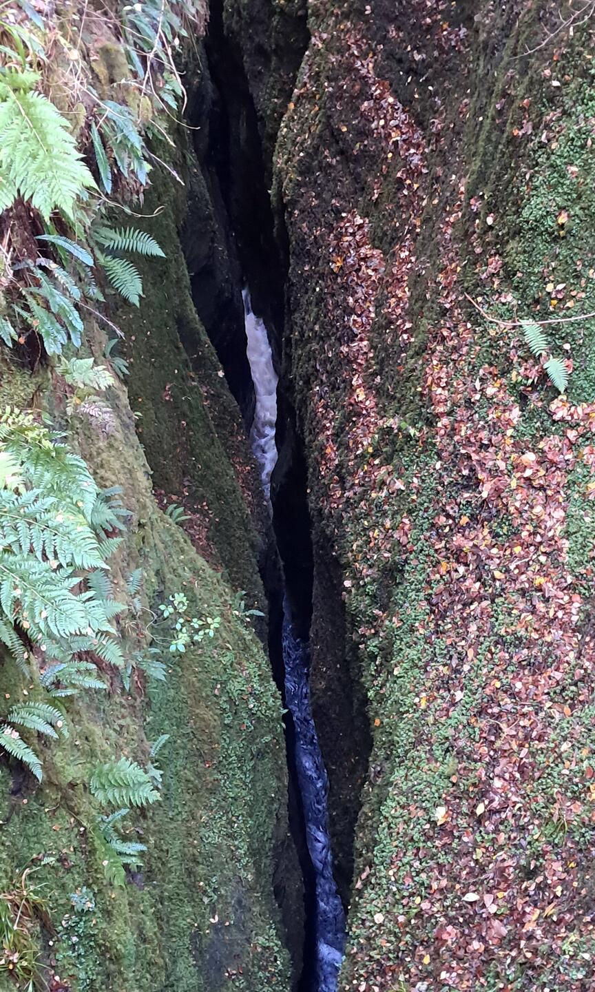 Black Rock Gorge, amazing places you've never heard of. 40m deep crack.....