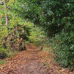 Noch ein Spaziergang auf dem GR 34