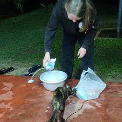 Taking care of everyone❣️