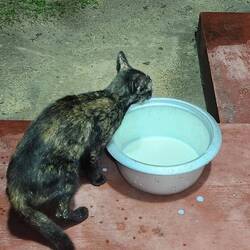 Brustfeeding Mom🥰