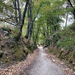 Such a pretty walk today, even in the bad weather.