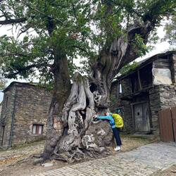 Amy the tree hugger 🪾🌳❤️