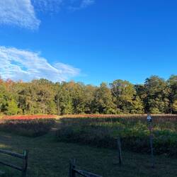 Path through meadow adjacent to parking area