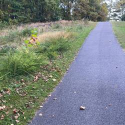 Typical path conditions