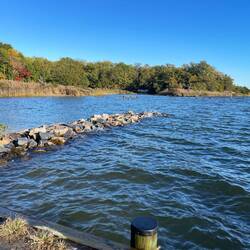 Dogs rule in this cove