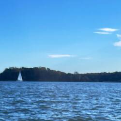 View of South River from dog beach