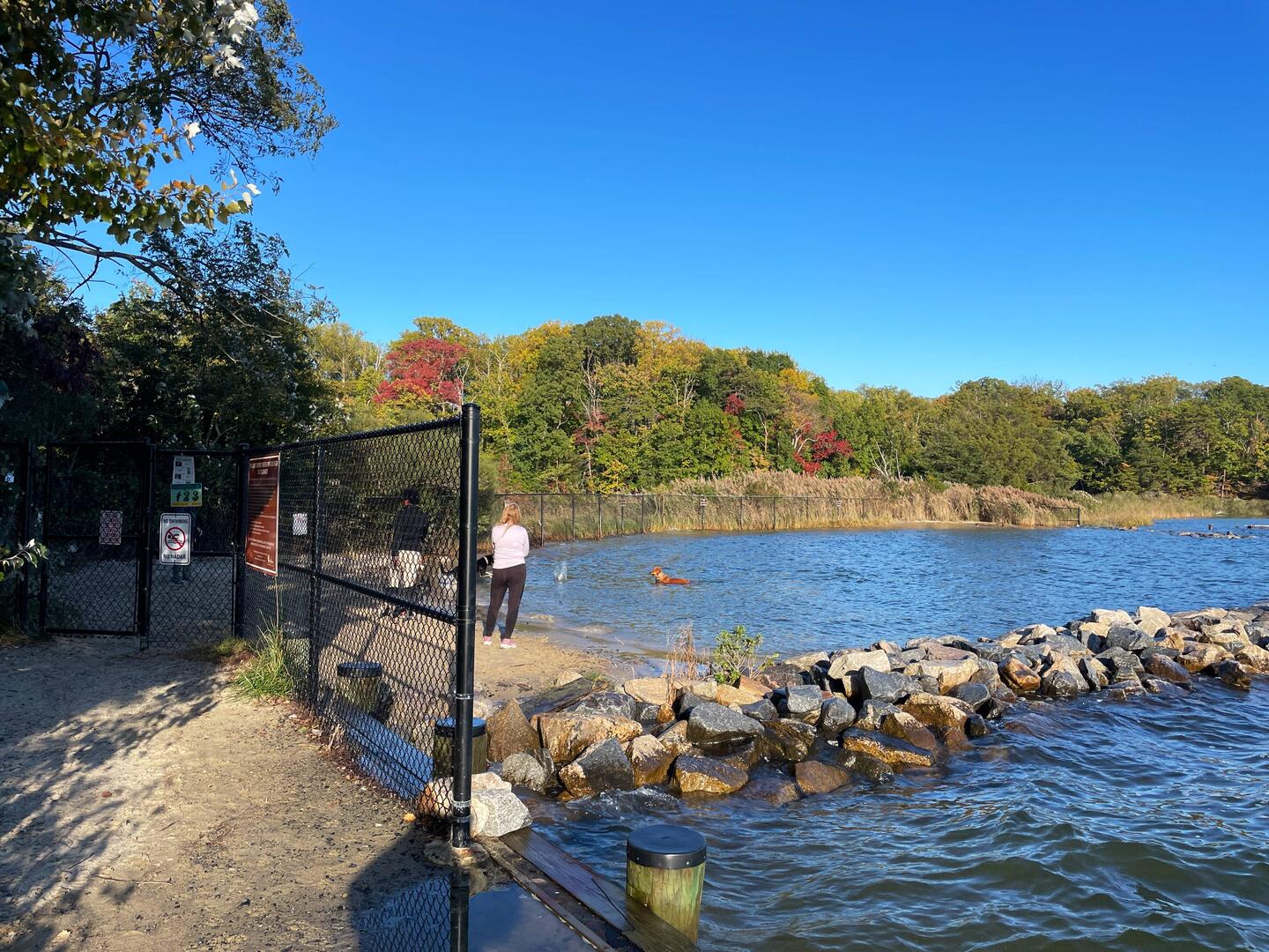 Gated dog beach
