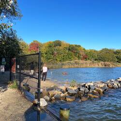 Gated dog beach