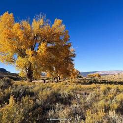 Campground am Gates of Lodore