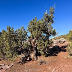 Impressionen vom Trail