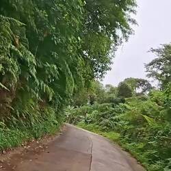 Strasse wird kleiner