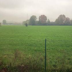 Blick aus dem Wohnmobilfenster