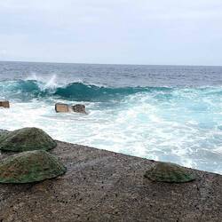 Schöne Muschelskulpturen auf der Mauer