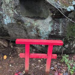 Die Höhle ist voller Münzen