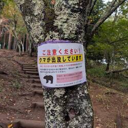 Am 9.6.25 wurde hier ein Bär gesehen 👍