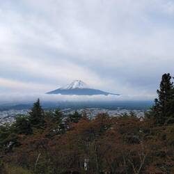 Fujisan am Morgen