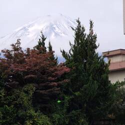 Die Bäume färben sich langsam