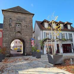 Das Reisemobil würde passen... 🤔