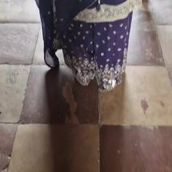 1st sight of the Taj Mahal.