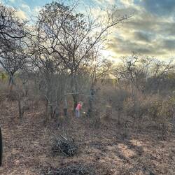 Jens und Marie sammeln Holz für das Lagerfeuer