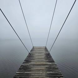 An dem Tag war es sehr neblig🌫️