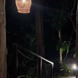 Geräuschkulisse 🦎🦖