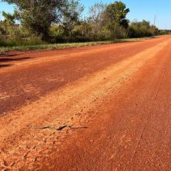 Und die tägliche Schlange 🐍
