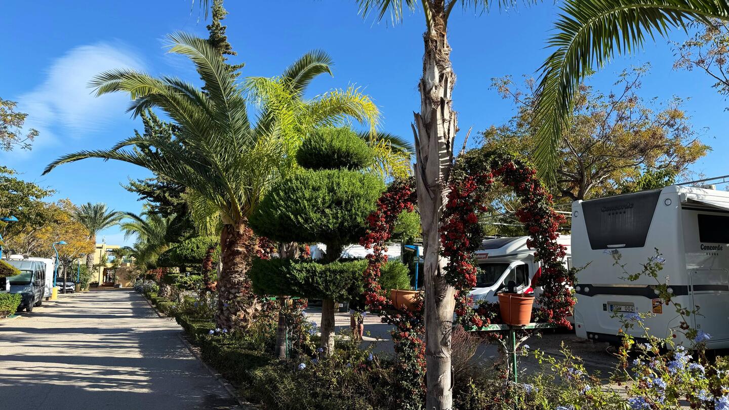 Heute und morgen sind wir im Campingplatz und genießen die 30 Grad 😎