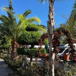 Heute und morgen sind wir im Campingplatz und genießen die 30 Grad 😎