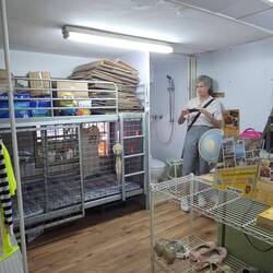 Adding me for perspective on the room size. I know I'm larger than a typical Hongkonger, but really.