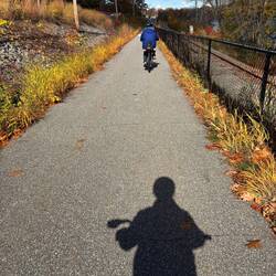 Sunny paved trail
