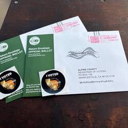 Bsllots ready to put in the mail