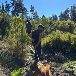 Ike, mein Mitbewohner und anderer Volunteer