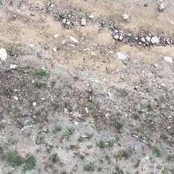 Chile oder Australien?