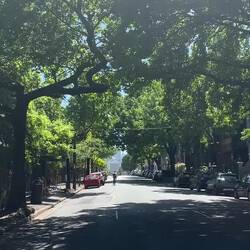 Uitzicht tijdens m'n fietsrit naar de universiteit en terug :)