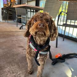 Brunch near Savannah a former stopping place for us at One Broken Egg!