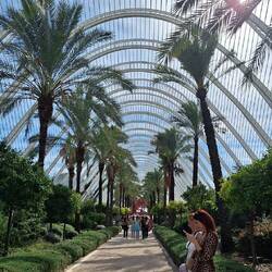 Todo por aquí es lindo..