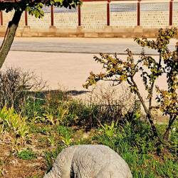 This palace waterway 'guard' sticks his tongue out taunting any would-be intruders.