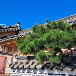 The homes in the Village are beautiful.